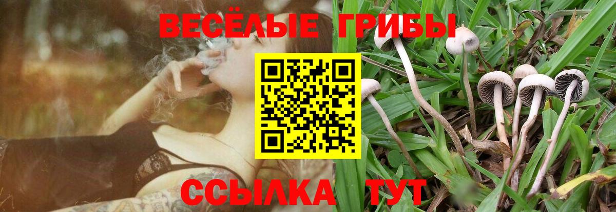 Псилоцибиновые грибы Magic Shrooms Донской