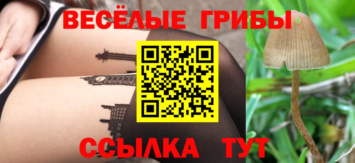 Псилоцибиновые грибы мицелий  Вход с VPN  Донской  Галлюциногенные грибы MAGIC MUSHROOMS 